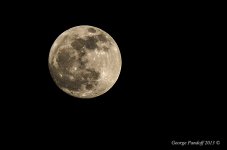 Day114FullMoon.jpg