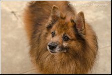 20120927-DSC_2396_WLP.jpg