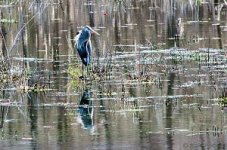 DSC_6218.jpg