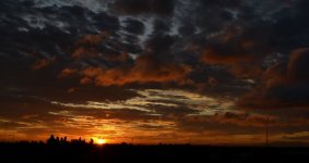 sunrise.jpg