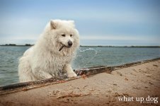 ND3_0035 FB.JPG