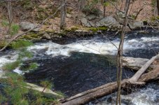 DSC_6258.jpg
