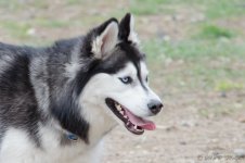 DSC_6088.jpg