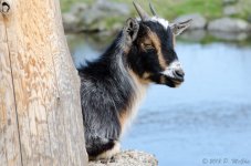 DSC_6299.jpg