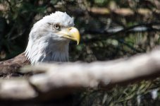 DSC_6307.jpg