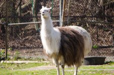DSC_6311.jpg