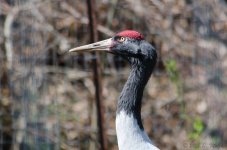 DSC_6343.jpg
