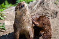 DSC_6333-Edit-2.jpg