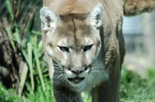 DSC_6316.jpg
