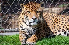 DSC_6323-Edit-2.jpg