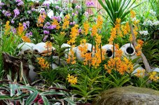 royalflora-22.jpg