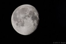 DSC_6357.jpg