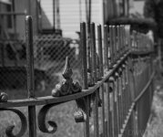 IronFenceBW1.jpg