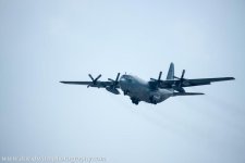 DW1_7897.jpg