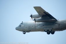 DW1_7903.jpg