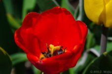 DSC_6396.jpg