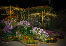 chon-flower-18.jpg