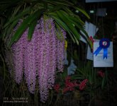 chon-flower-11.jpg