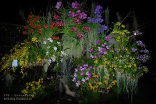 chon-flower-14.jpg