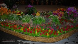 chon-flower-17.jpg