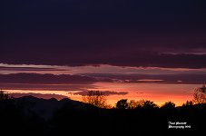 Sunset 1 Site.jpg