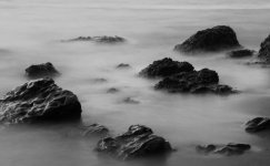 DSC_0088 (2).jpg
