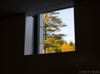 DSC_6431.jpg