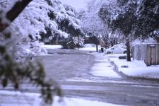 Winter.jpg