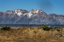 DSC_6766.jpg
