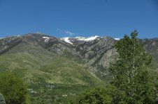 _DSC3588.jpg