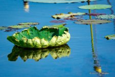 D73_1935-Edit.jpg