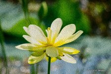 D73_1932-Edit.jpg