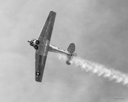 T6-300.jpg