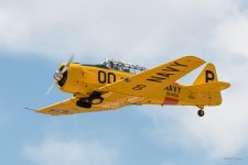 T6-305.jpg