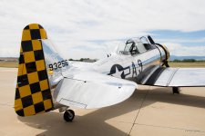 T6-307.jpg