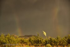 06-28-18-cr__7506449.jpg