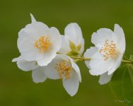 DSC_3571.jpg