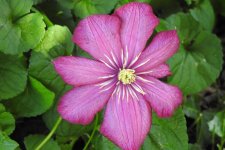 DSCN3563.jpg
