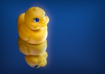 duck.jpg