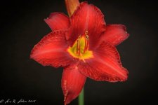 20180707-_LRL1517.jpg