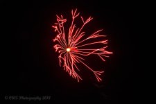 07-04-18-cr__7506511.jpg