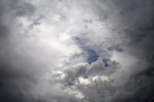 _ROY3097_01.JPG