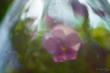 DSC_3899.jpg
