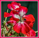 710_6701-Edit-001.jpg