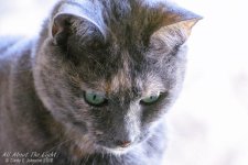 DSC_0406 low res.jpg