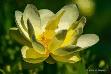 D73_1976-Edit.jpg