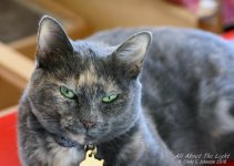 DSC_0401 low res.jpg