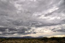 07-11-18-cr__7506576.jpg