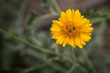 07-11-18-cr__7506578.jpg