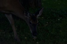 D72_3457 original.jpg